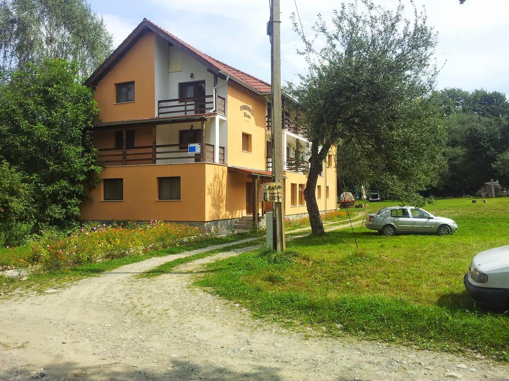 Pensiunea Elena Vistisoara Zimmer foto
