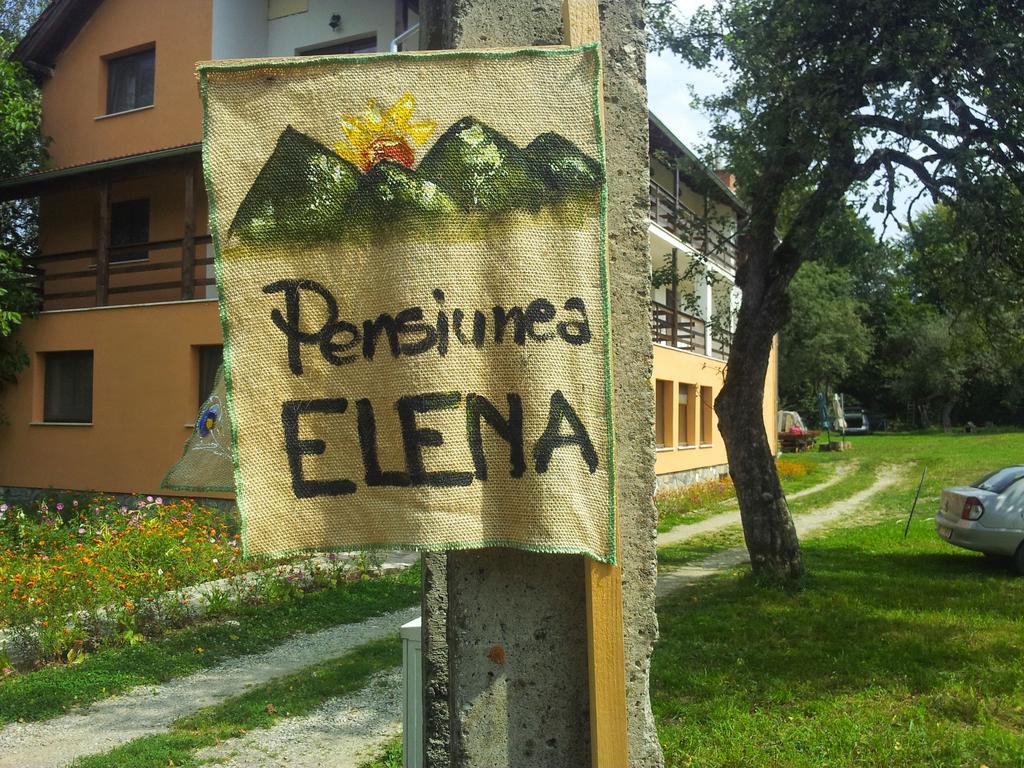 Pensiunea Elena Vistisoara Zimmer foto
