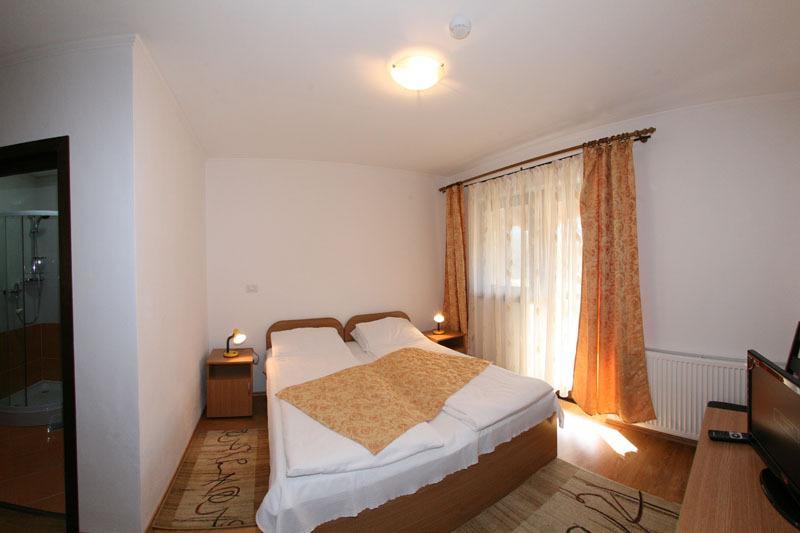 Pensiunea Elena Vistisoara Zimmer foto