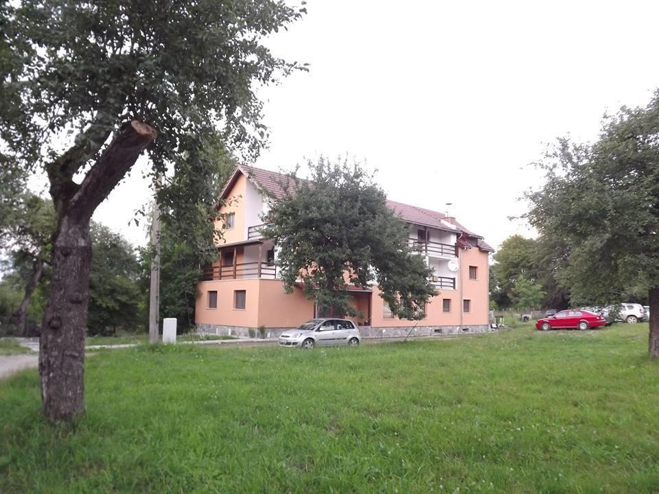 Pensiunea Elena Vistisoara Exterior foto