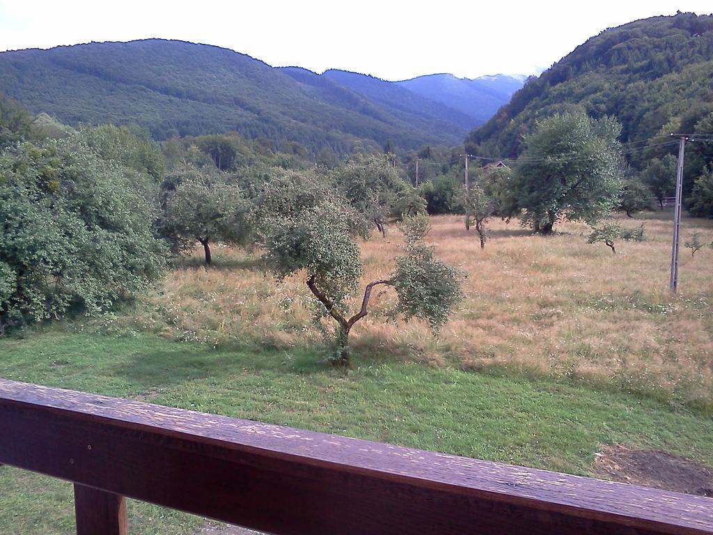 Pensiunea Elena Vistisoara Exterior foto