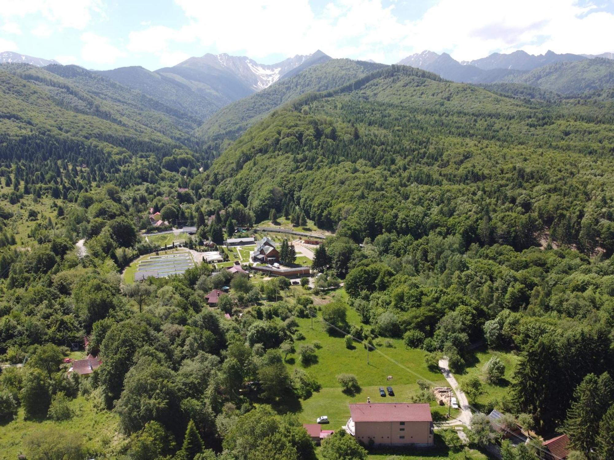Pensiunea Elena Vistisoara Exterior foto