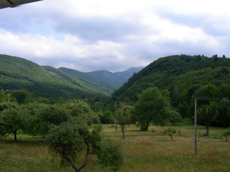 Pensiunea Elena Vistisoara Exterior foto