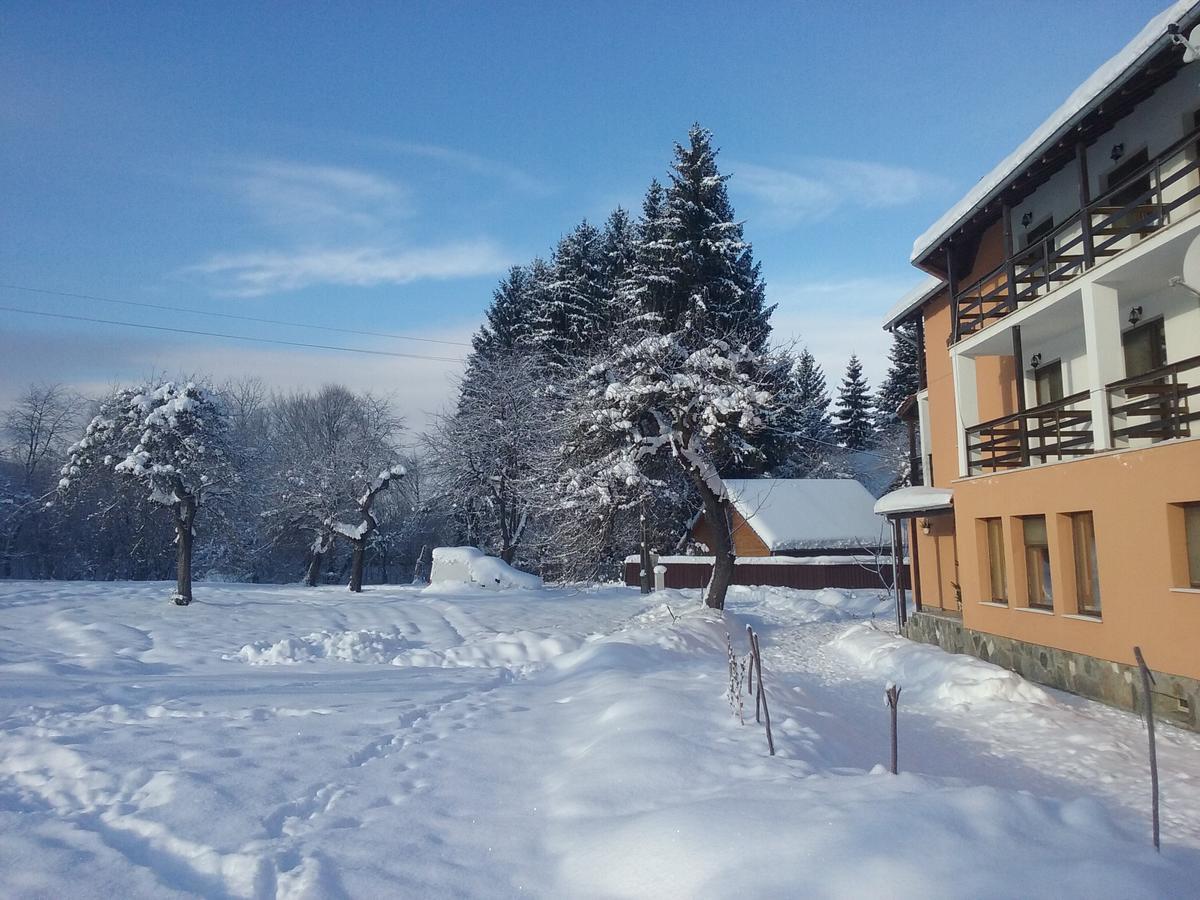 Pensiunea Elena Vistisoara Exterior foto
