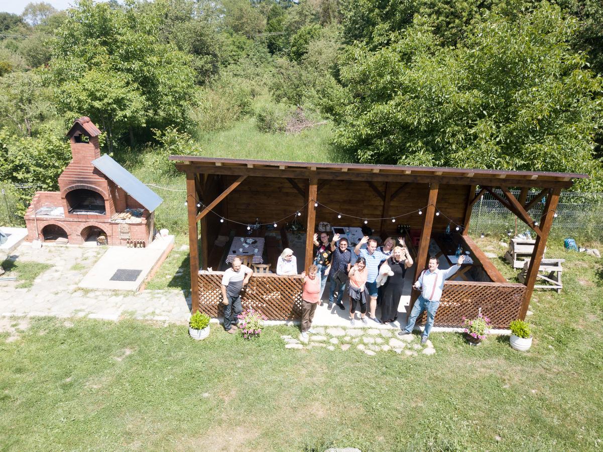 Pensiunea Elena Vistisoara Exterior foto
