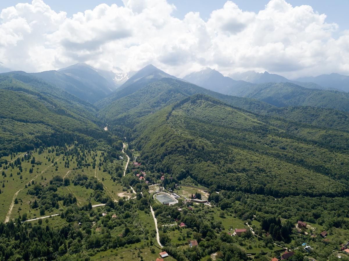 Pensiunea Elena Vistisoara Exterior foto